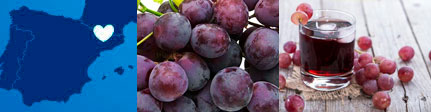 Zumo de uva ecologico de Cal Vall, origen y presentación