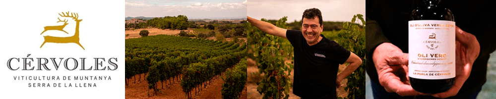 Bodega Cérvoles - Tomàs Cusiné en Sabority