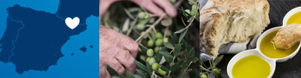 Dauliba aceite de oliva sin hueso - origen sugerencia de presentación