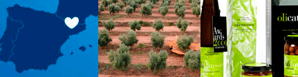 Origen Aceite Olicatessen Molí dels Torms