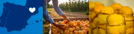 Origen melocotones en almíbar de Fruita Blanch