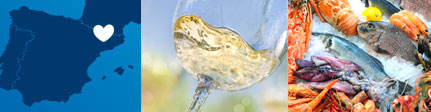 Origen sugerencia de presentación vinagre de vino de chardonnay Castell de Gardeny