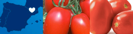 Origen Tomate Pera Ecológico de Lleida Seleqtium