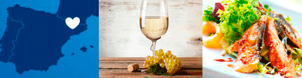 Origen Vinagre Agridulce de Riesling de Castell de Gardeny - Badia Vinagres